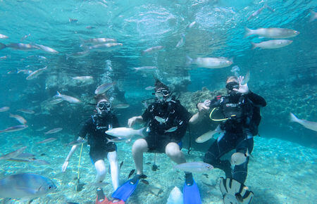 A view from Marmaris Scuba Diving