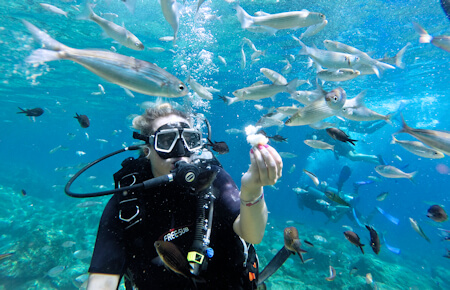 A view from Marmaris Scuba Diving