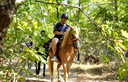 A view from Marmaris Horse Safari