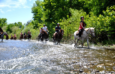 A view from Marmaris Horse Safari