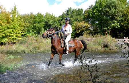 A view from Marmaris Horse Safari