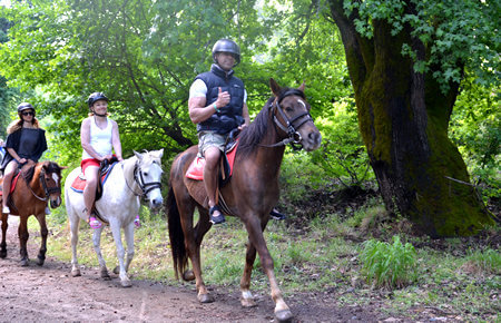 A view from Marmaris Horse Safari